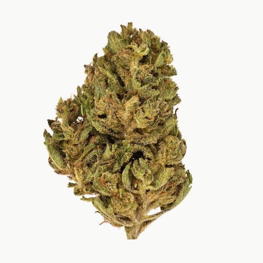 Smoakland - Eighthz | Fruity Pebbles (H) | 3.5g - 1