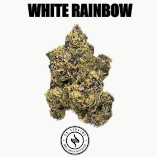 SD STRAINS - SD Strains "White Rainbow" - 1