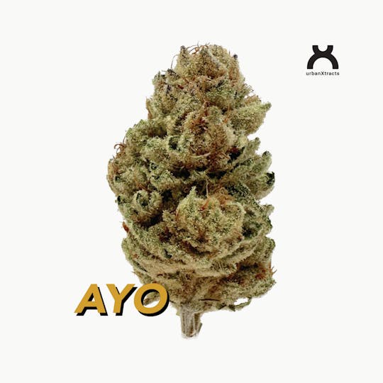 urbanXtracts - AYO - 3.5 G - Cannabis Flower - 1
