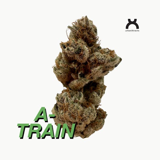 urbanXtracts - A-Train - 3.5 G - Cannabis Flower - 1