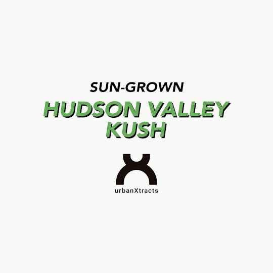 urbanXtracts - Hudson Valley Kush - 3.5 G - Sun-Grown Flower - 1