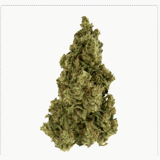 Smoakland - Exclusive - Fog DOG (I) - 28g - 1