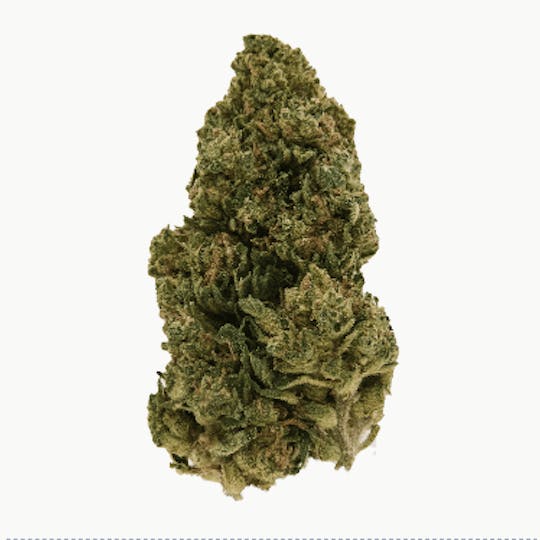 Smoakland - Exclusive - Fog Dog (H) - 28g - 1