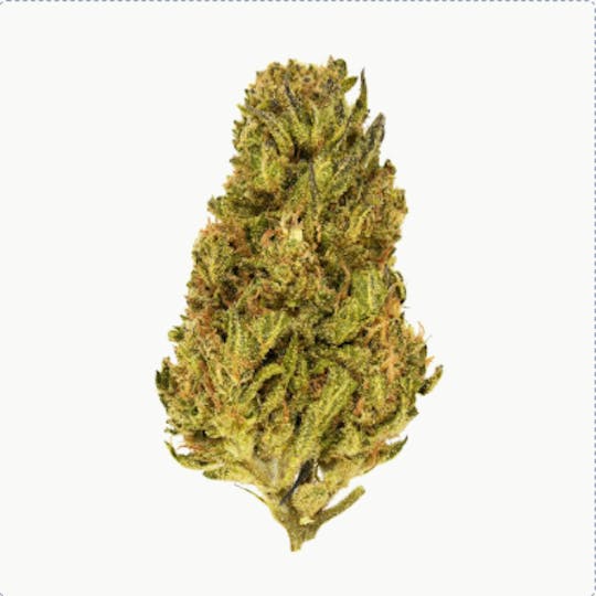 Smoakland - Exclusive - Face Fat (H) - 28g - 1
