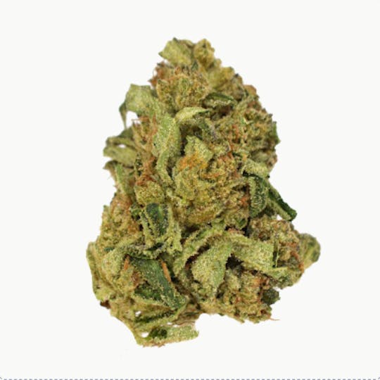 Smoakland - Exotix - Red Pop (H) - 14g - 1