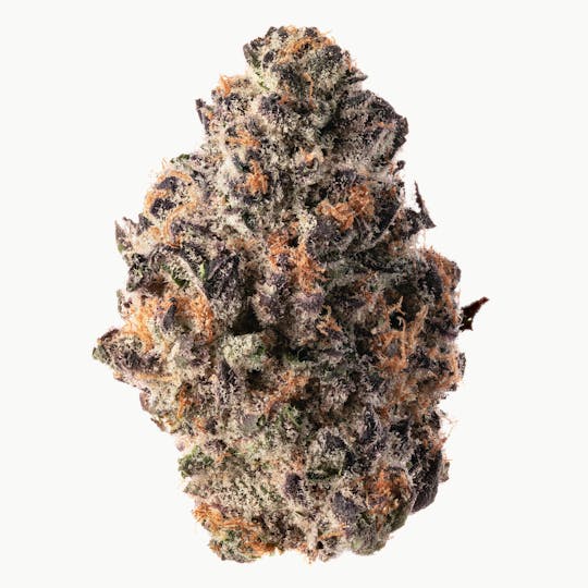 Quality Over Quantity - Papaya Fiya - 1