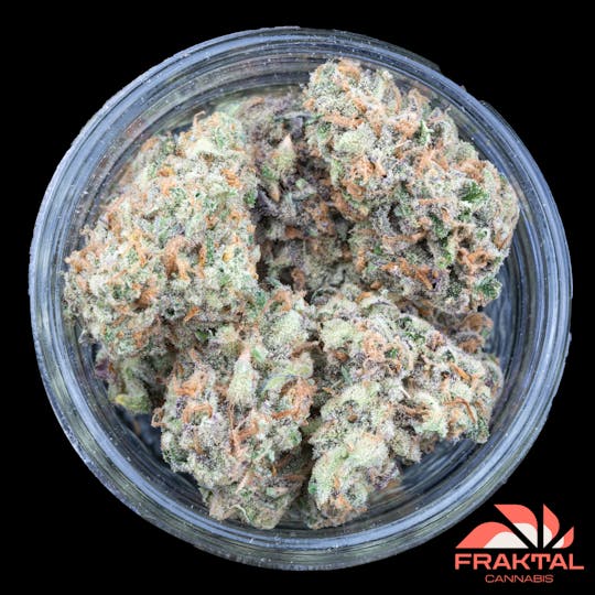 FRAKTAL - FRAKTAL - Futura Haze - 1