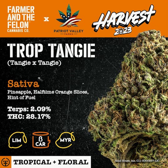 Farmer and the Felon - Farmer and the Felon | Flower Trop Tangie 1/8oz - 1