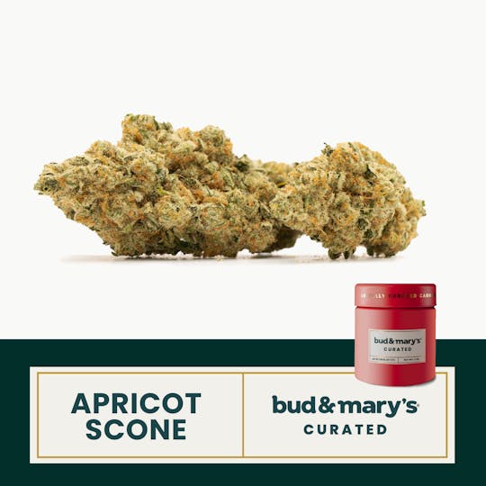 Bud & Mary's - Curated - Apricot Scone - 1