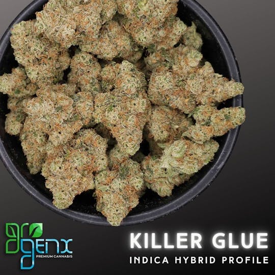 GroGenx - GroGenx - FLOWER (PREMIUM) - KILLER GLUE - 1