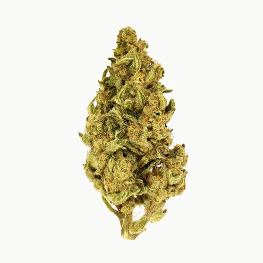 Smoakland - Eighthz | Candy Kush (S) | 3.5g - 1