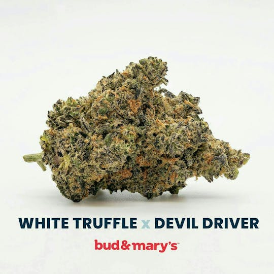 Bud & Mary's - White Truffle x Devil Driver - 3.5g - 1