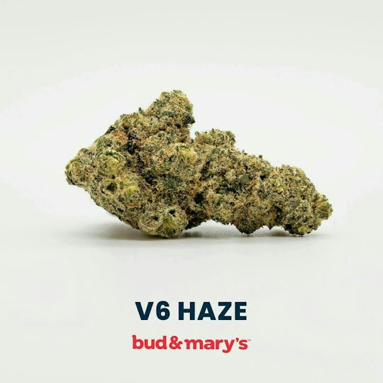 Bud & Mary's - V6 Haze - 14g - 1