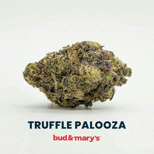 Bud & Mary's - Truffle Palooza - 14g - 1