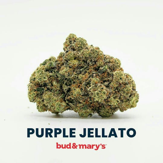 Bud & Mary's - Purple Jellato - 14g - 1