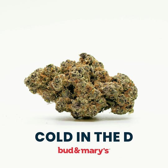 Bud & Mary's - Cold in the D - 14g - 1