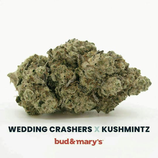 Bud & Mary's - Wedding Crashers x Kushmintz - 14g - 1