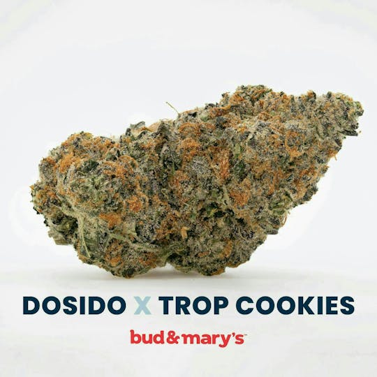 Bud & Mary's - Dosido Trop Cookies - 14g - 1