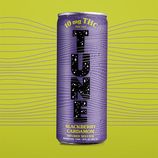 Tune - Blackberry Cardamom | 10mg Infused Seltzer | Single Can - 1