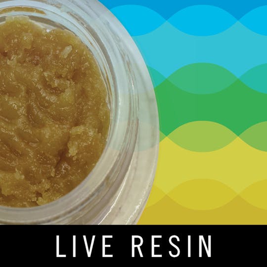 Levitate - Levitate Live Resin - Facade - 5g - 1