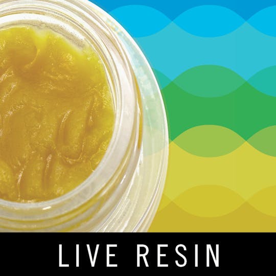 Levitate - Levitate Live Resin - Stuffed French Toast - 1g - 1