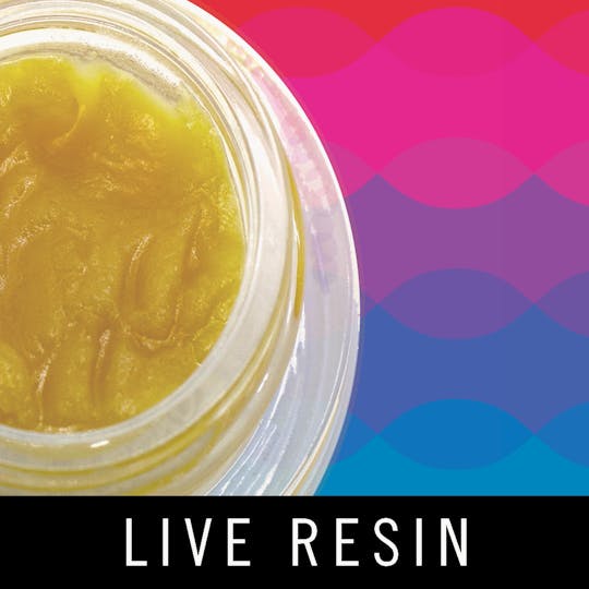 Levitate - Levitate Live Resin - Garlic Breath - 1g - 1