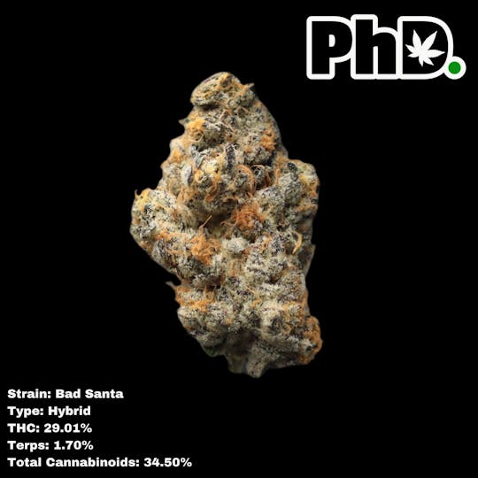 Pharmicated - PhD Indoor Flower - Bad Santa - 1