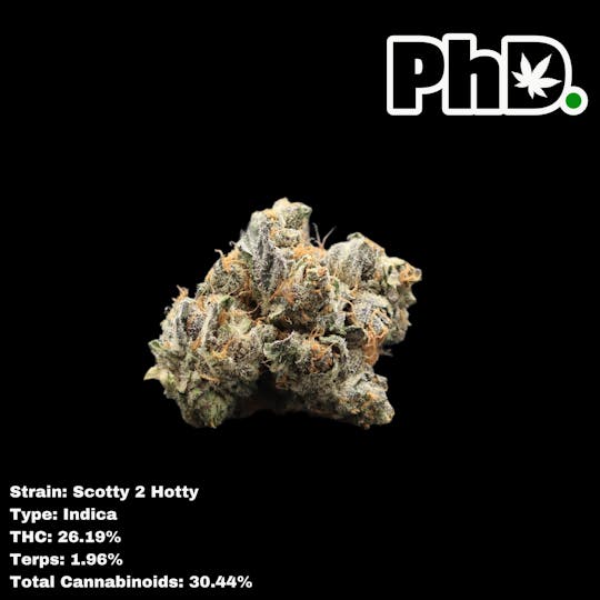 Pharmicated - PhD Indoor Flower - Scotty 2 Hotty - 1