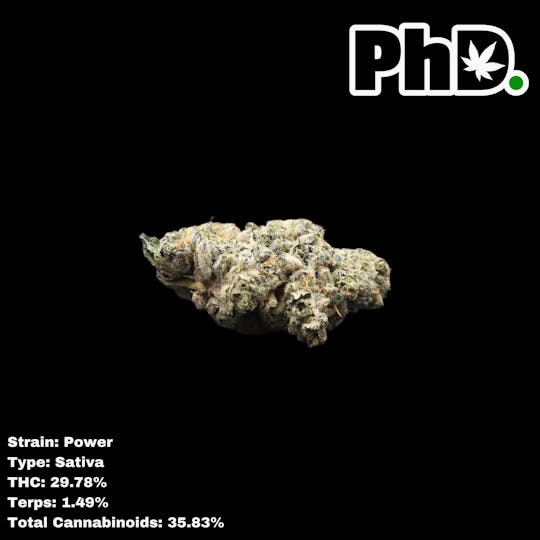 Pharmicated - PhD Indoor Flower - Power (448 Grams) - 1