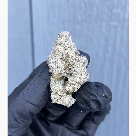 Maine Craft Cannabis - Soju - Maine Craft Cannabis - 1