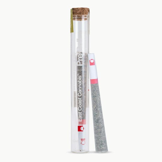 East Coast Cannabis - Root Beer Float Pre-Roll - 0.75g - 1