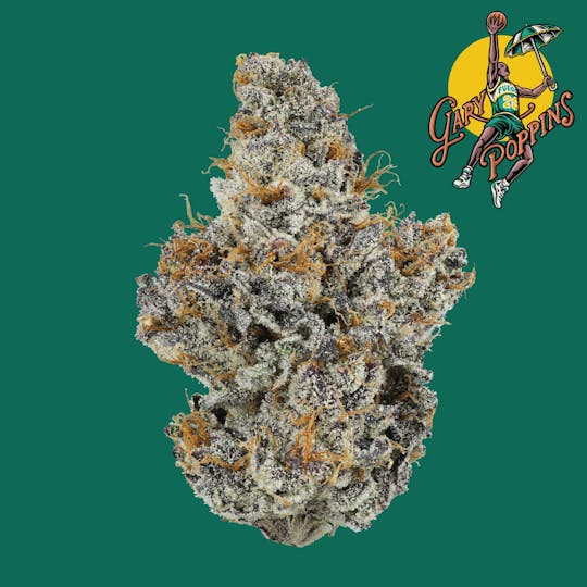Freddy's Fuego - Gary Poppins - Freddy's Finest - 1