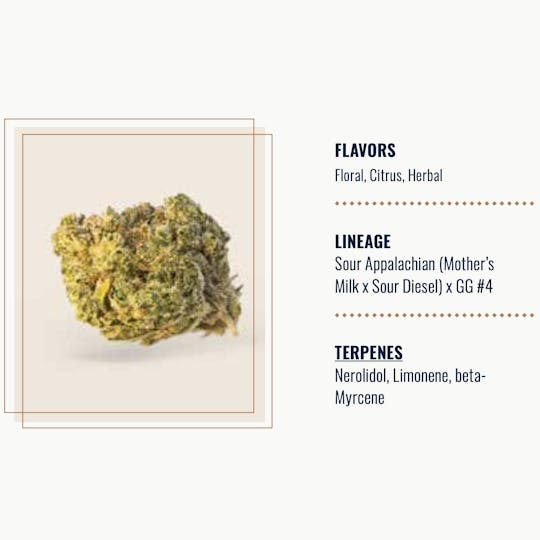 Elevate Missouri - Appal Ape - 14g - 1
