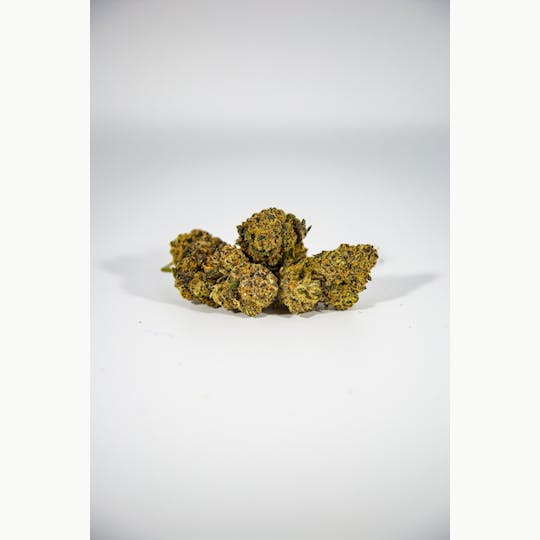 Shatter House - SHATTER HOUSE | Jackpot Matcha 3.5g Prepack - 1