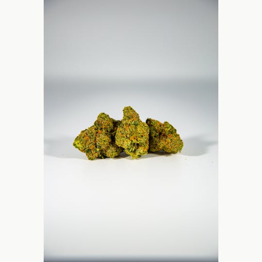 Shatter House - SHATTER HOUSE | Strawberries and Cream Bulk Flower - 1