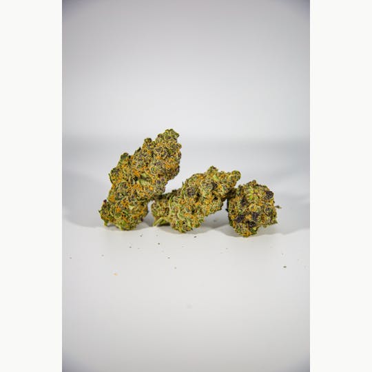 Shatter House - SHATTER HOUSE | Super Boof Bulk Flower - 1