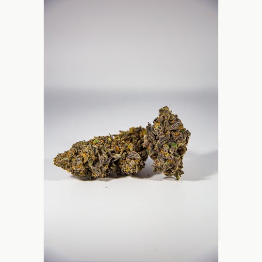 Shatter House - SHATTER HOUSE | Tropicana Cherry Bulk Flower - 1
