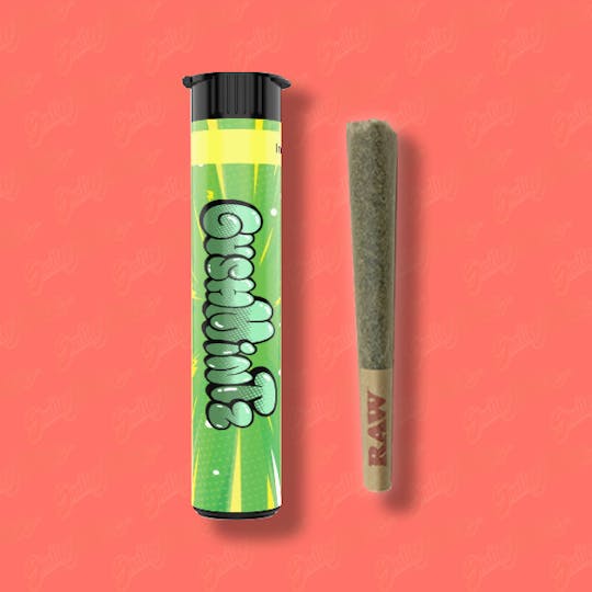 Shatter House - SHATTER HOUSE | Gush Mints 1.5g Preroll - 1
