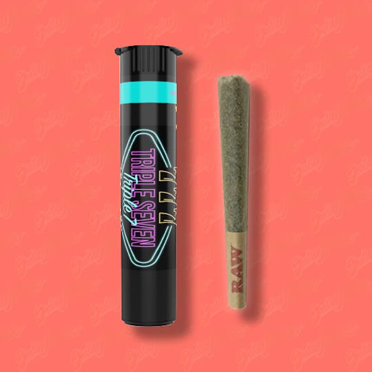 Shatter House - SHATTER HOUSE | Triple 7's 1g Preroll - 1