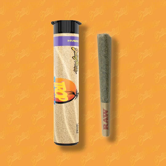 Shatter House - SHATTER HOUSE | Trop Cherry 1g Preroll - 1