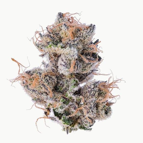 Purple Lotus - Blue Chip - Grape Gas - 1