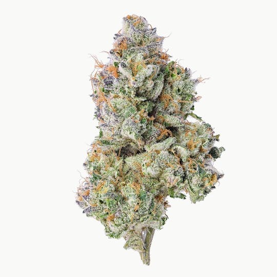 Purple Lotus - Blue Chip - Skittlez Sherbert - 1