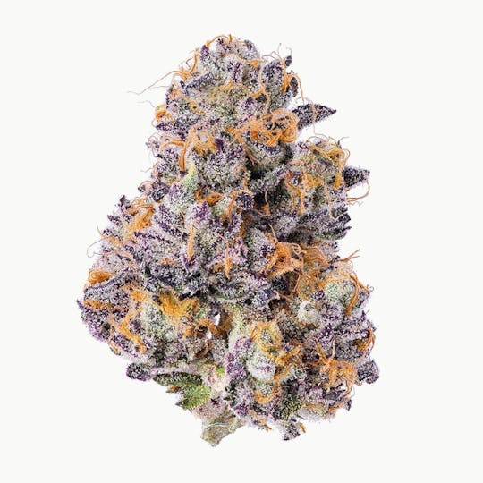 Purple Lotus - Blue Chip - Permanent Runtz - 1