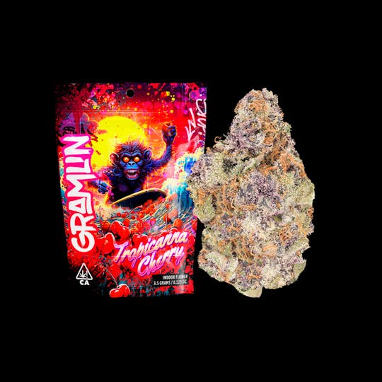 Gramlin - Tropicanna Cherry 3.5g Flower - 1