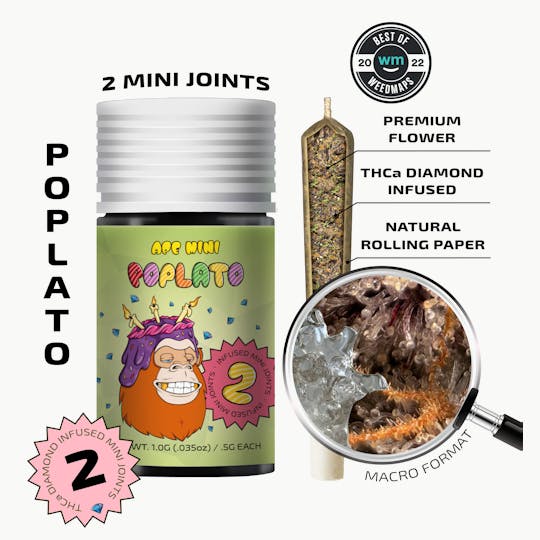 APE Premium Cannabis Corp - Poplato (Hybrid) — 2 Mini joints infused (1g | 0.5g each) - 1
