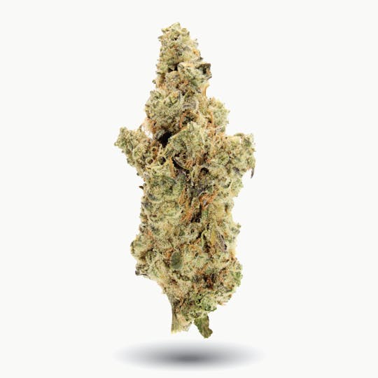 Gas Station Cultivation - Red Pop Flower - 1