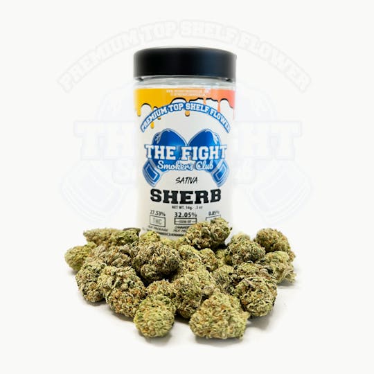 The Fight - SHERB 14G - THE FIGHT - 1