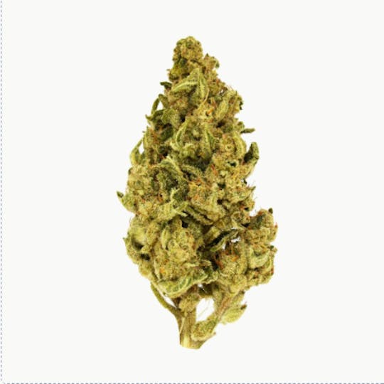 Smoakland - Xclusivez - Candy Kush (H) - 28g - 1
