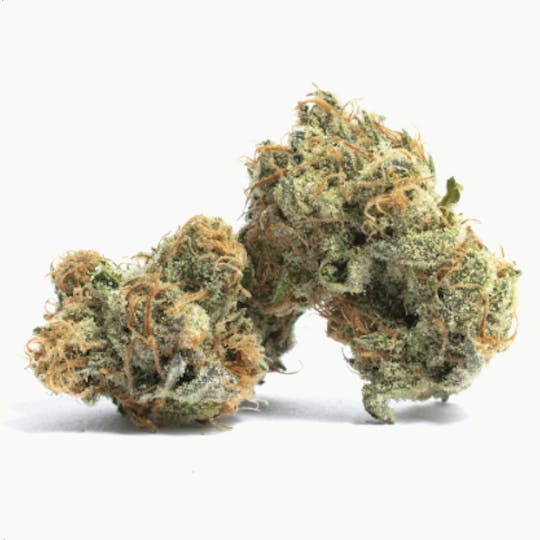 Smoakland - Exclusive - Gelato 41 - 1