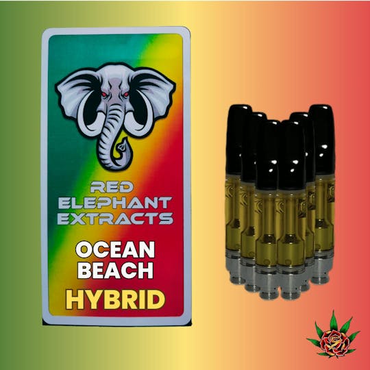 Eden Rose Processing - Red Elephant 6g Cart Special - Ocean Beach (Hybrid) - 1